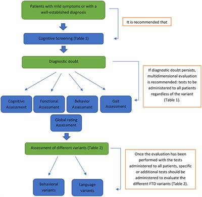 Multidimensional Clinical Assessment in Frontotemporal Dementia and Its Spectrum in Latin America and the Caribbean: A Narrative Review and a Glance at Future Challenges